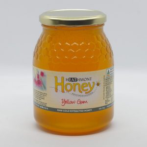 Yellow Gum Honey